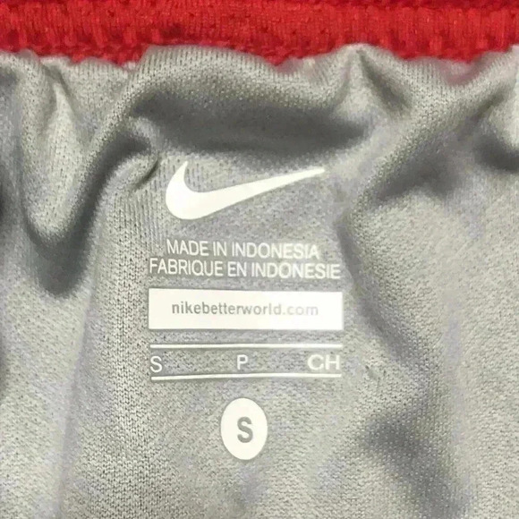 Nike Running Short Pink Lined Elastic Waist NEW - Picture 5 of 7